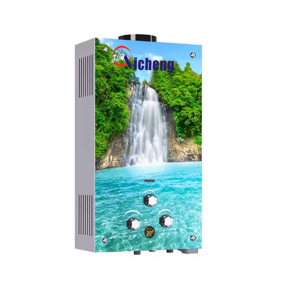 Chinese Supplier Home Appliance10L Flue Type Wall Mounted Customized Glass Panel Hot Selling Tankless Instant Gas Water Heater for Bath